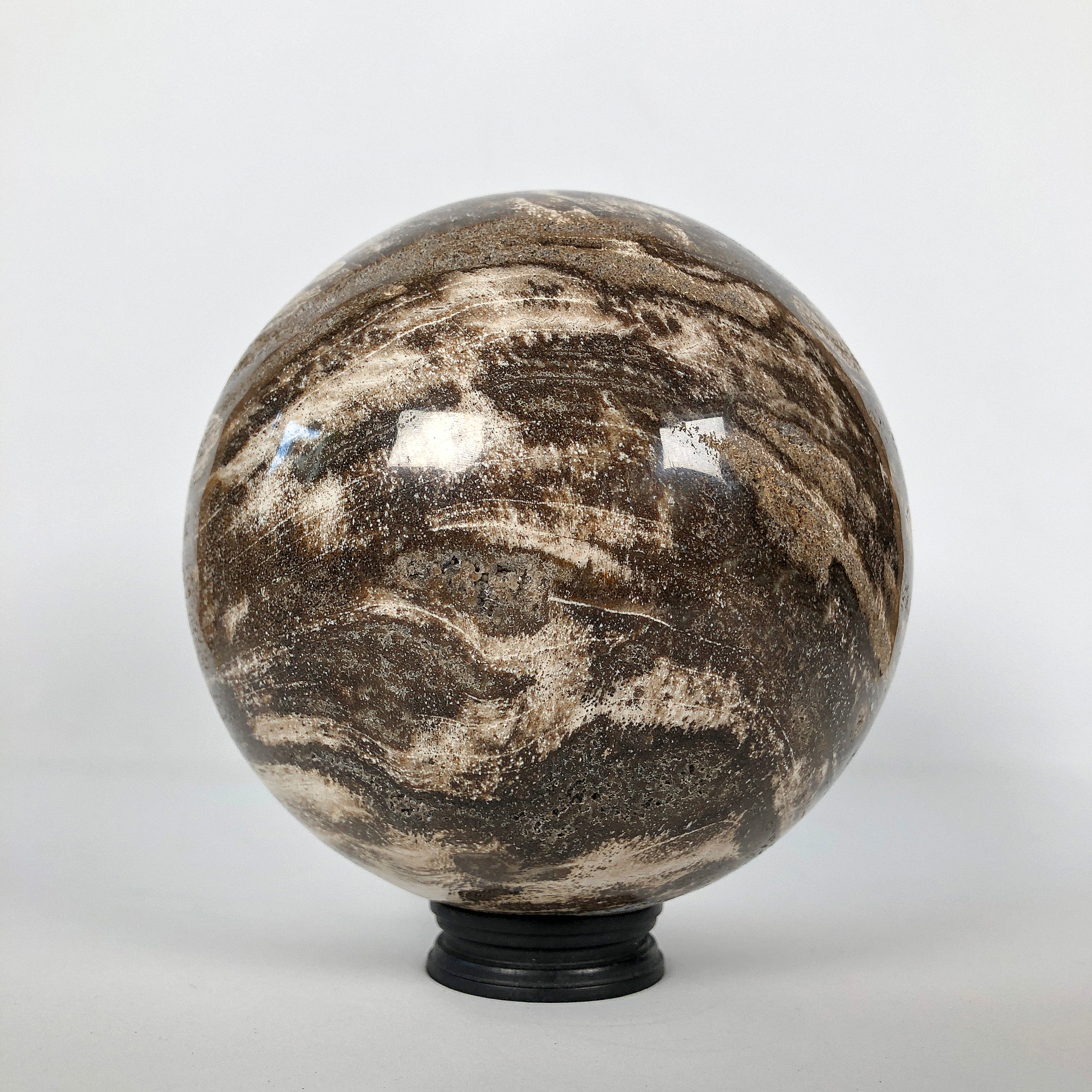 Wonderful Petrified Wood Sphere on a Custom Stand PS 542