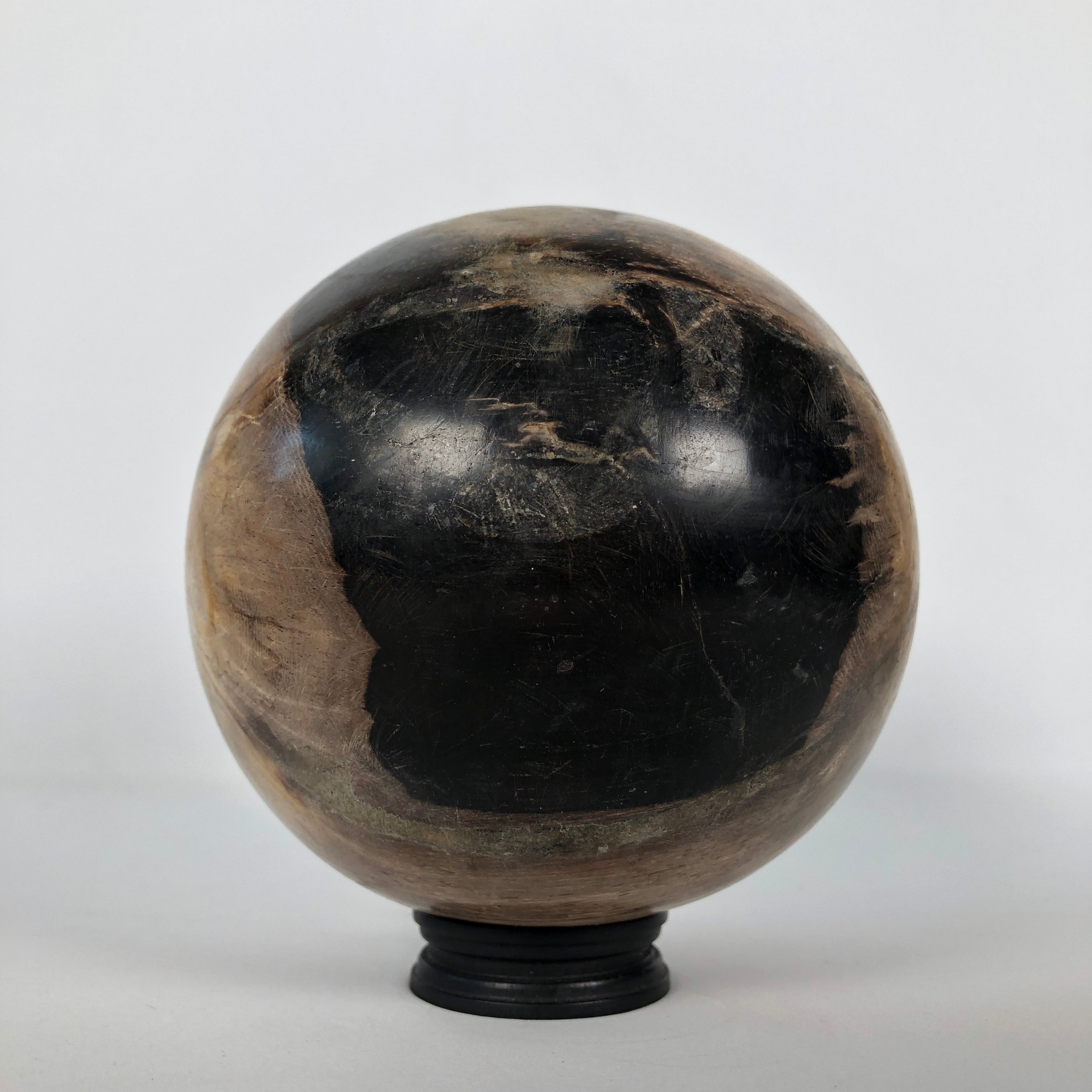 Wonderful Petrified Wood Sphere on a Custom Stand PS 524