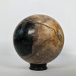 Wonderful Petrified Wood Sphere on a Custom Stand PS 524