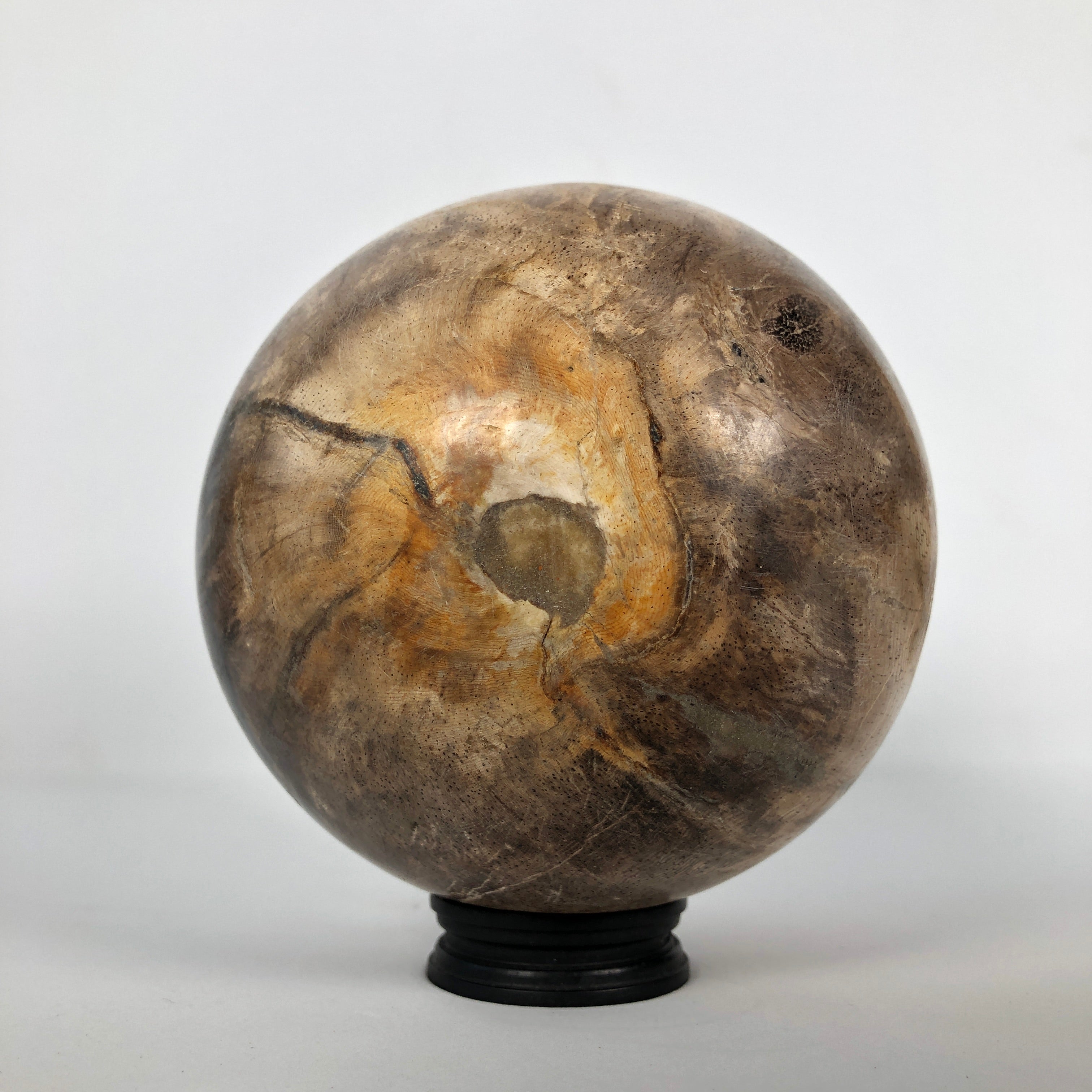 Wonderful Petrified Wood Sphere on a Custom Stand PS 524