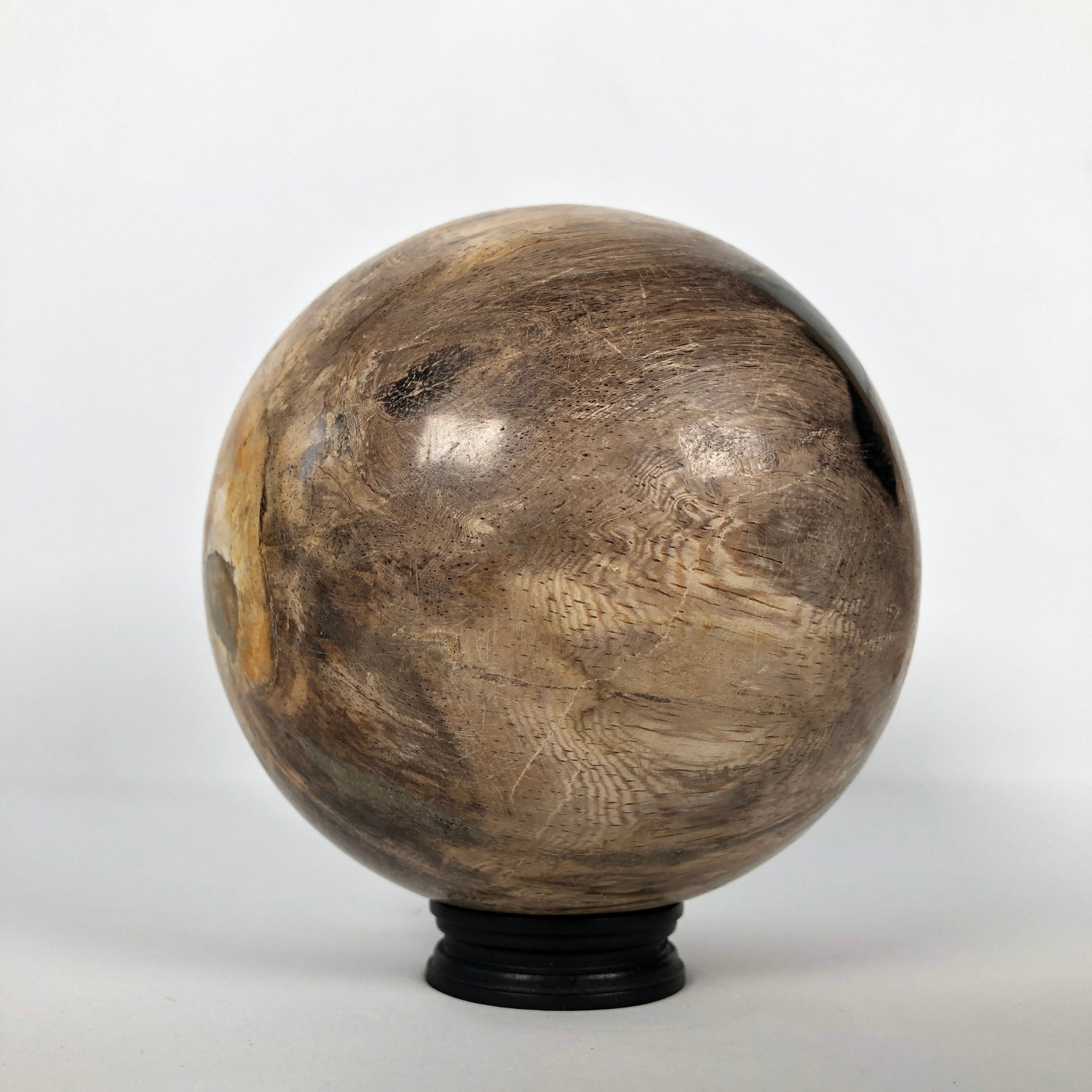 Wonderful Petrified Wood Sphere on a Custom Stand PS 524