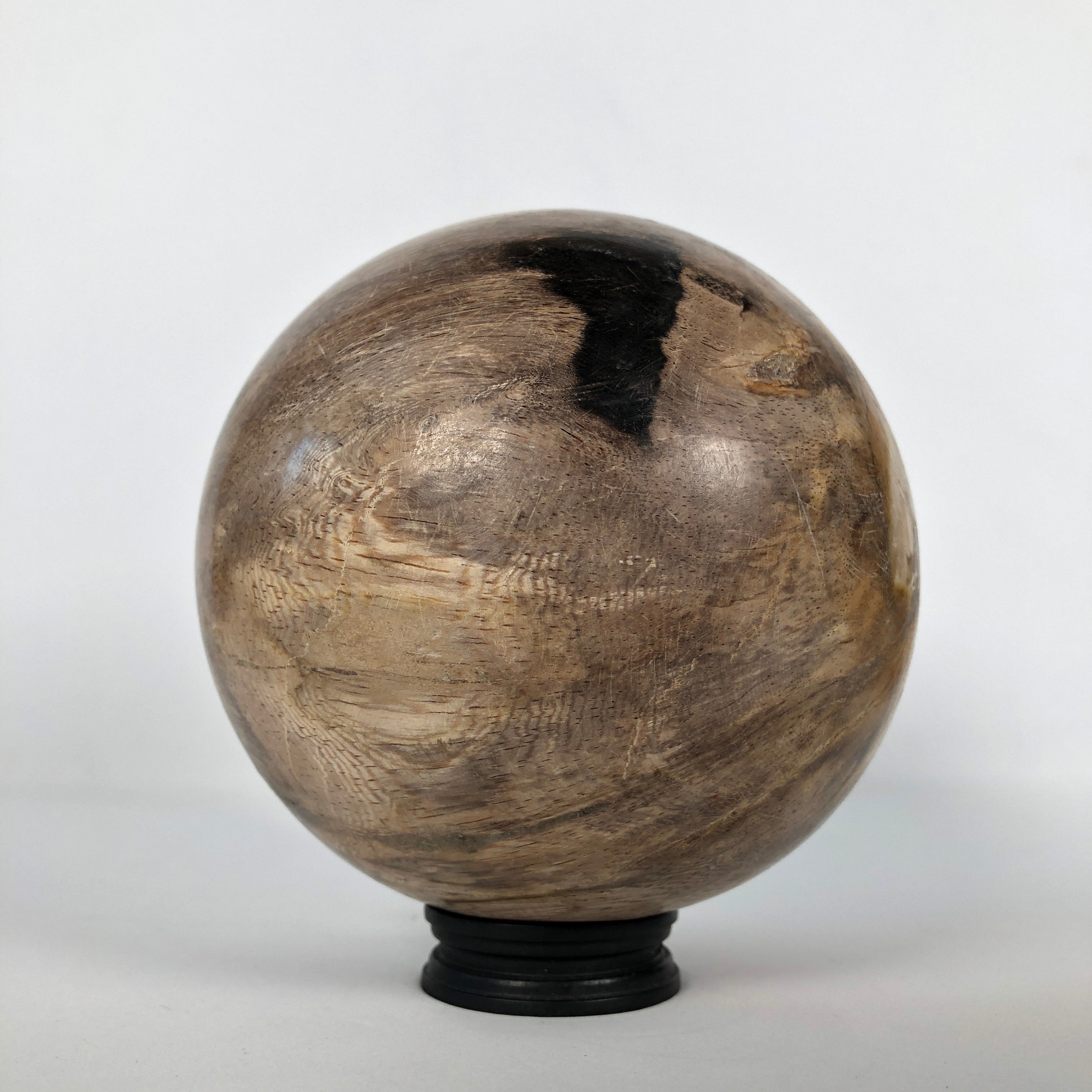 Wonderful Petrified Wood Sphere on a Custom Stand PS 524