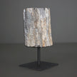 Polished Petrified Wood Freeform on a custom stand PetW/104