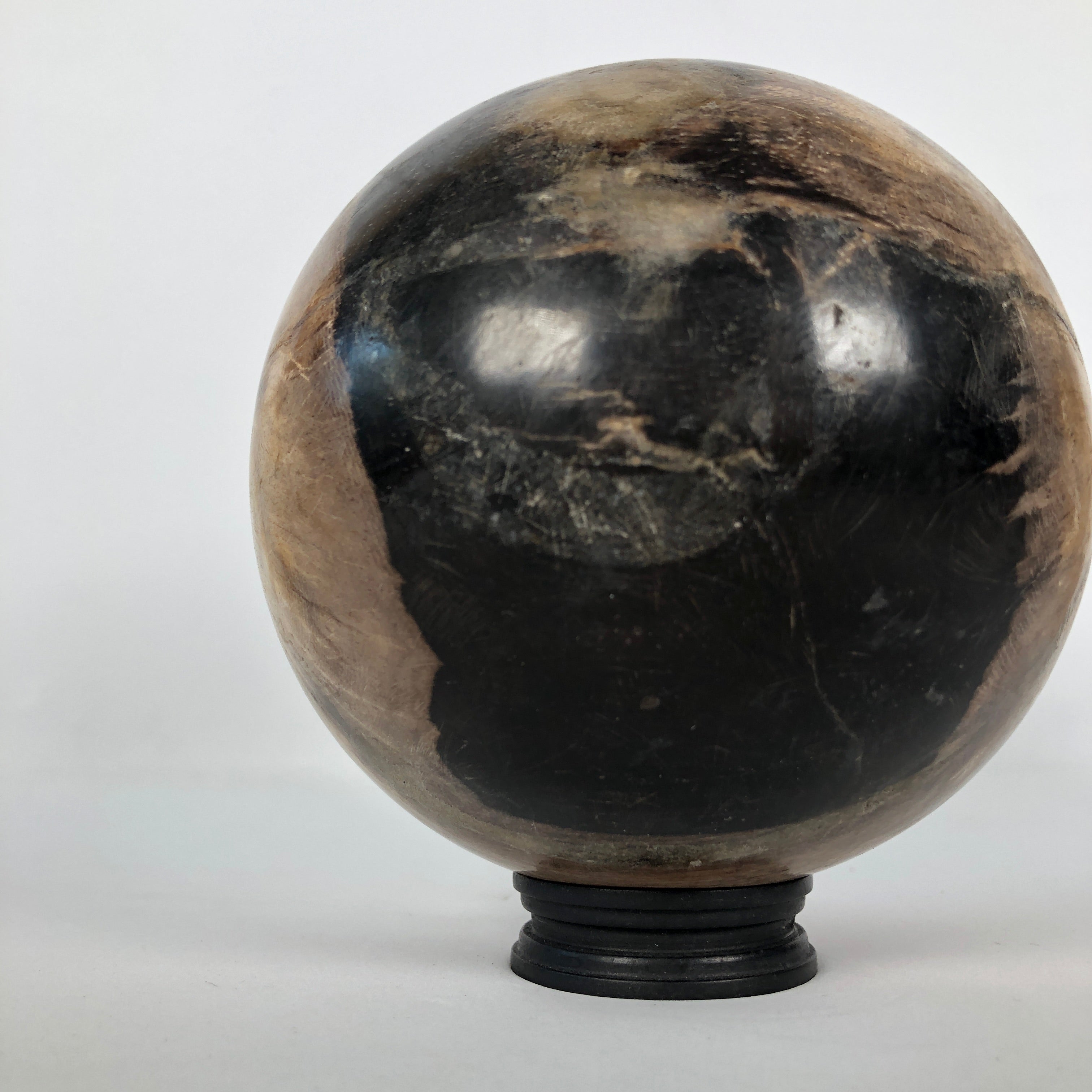 Wonderful Petrified Wood Sphere on a Custom Stand PS 524