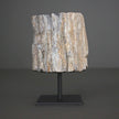 Polished Petrified Wood Freeform on a custom stand PetW/104