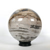 Wonderful Petrified Wood Sphere on a Custom Stand PS 541