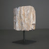 Polished Petrified Wood Freeform on a custom stand PetW/104