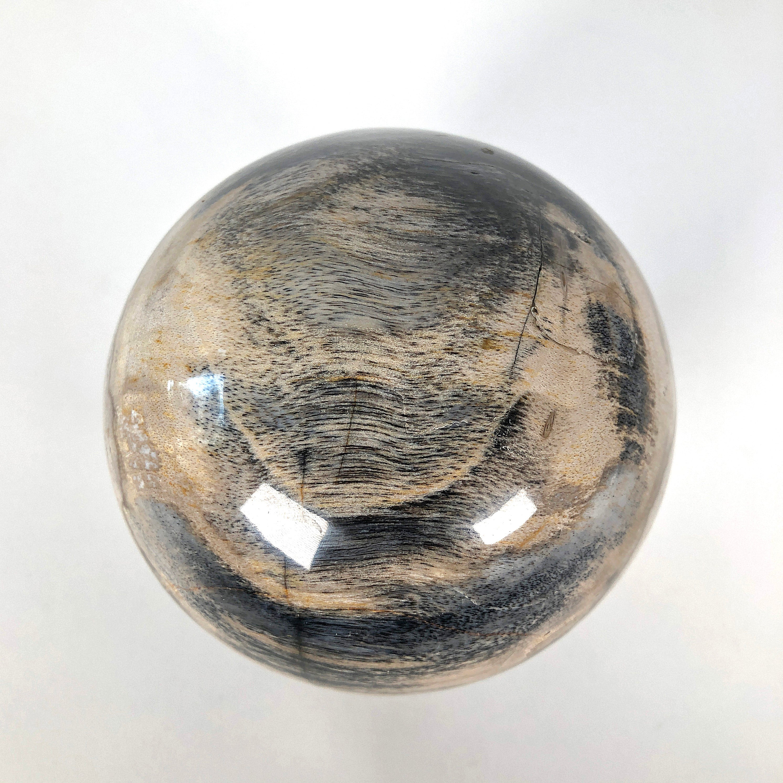 Wonderful Petrified Wood Sphere on a Custom Stand PS 541