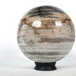 Wonderful Petrified Wood Sphere on a Custom Stand PS 541