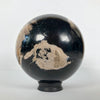 Wonderful Petrified Wood Sphere on a Custom Stand PS 543