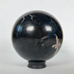 Wonderful Petrified Wood Sphere on a Custom Stand PS 543