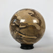 Wonderful Petrified Wood Sphere on a Custom Stand PS 515