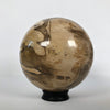 Wonderful Petrified Wood Sphere on a Custom Stand PS 515