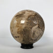 Wonderful Petrified Wood Sphere on a Custom Stand PS 515