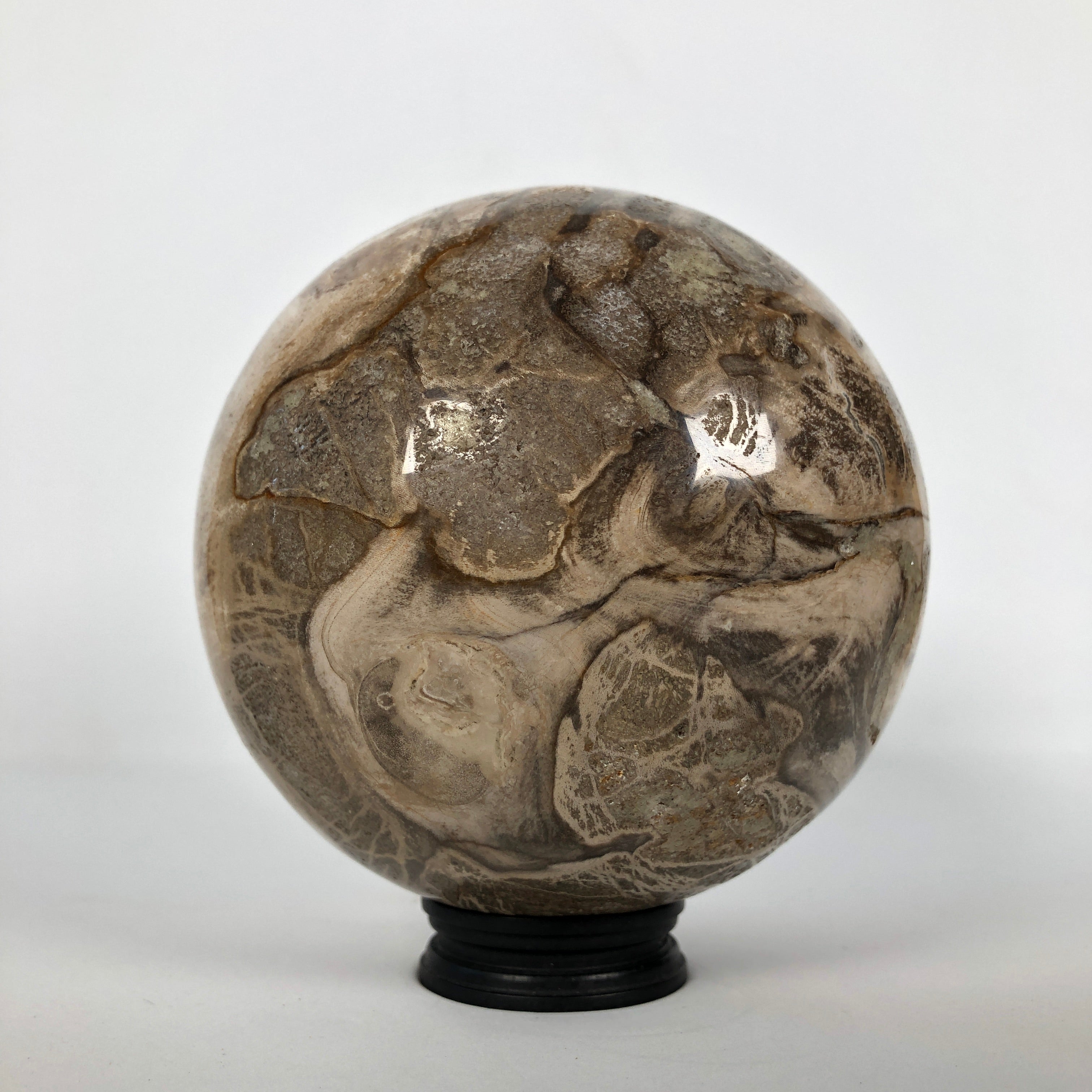 Wonderful Petrified Wood Sphere on a Custom Stand PS 515