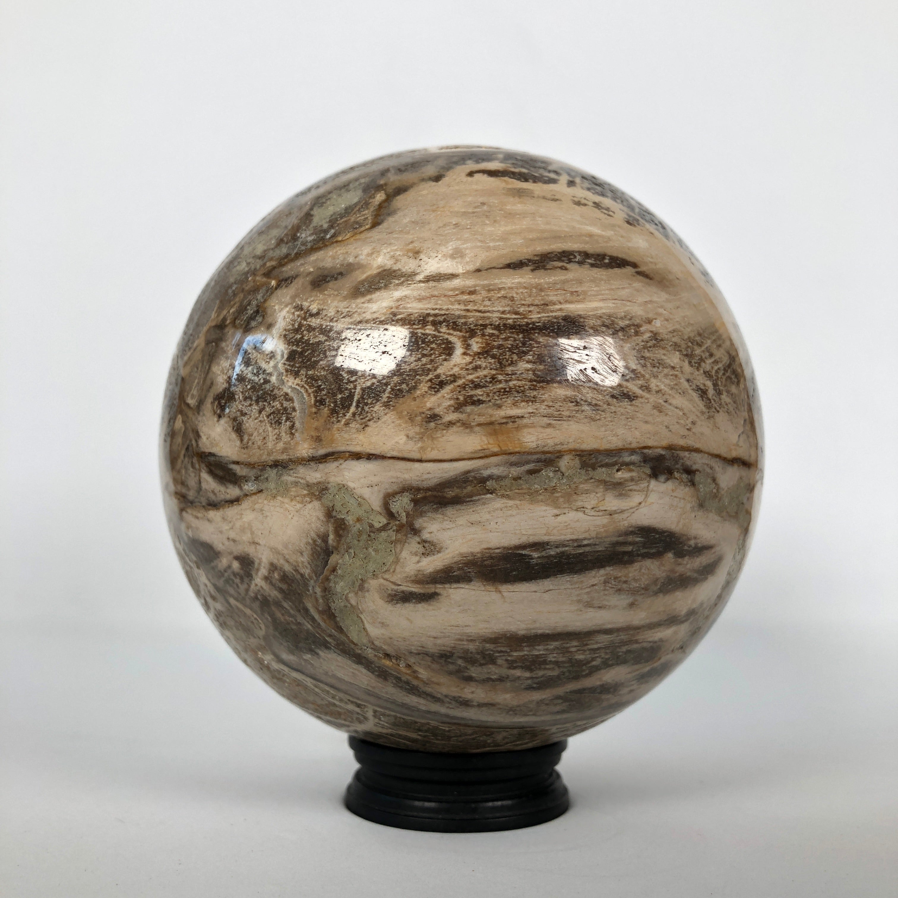 Wonderful Petrified Wood Sphere on a Custom Stand PS 515