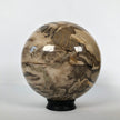 Wonderful Petrified Wood Sphere on a Custom Stand PS 515