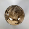 Wonderful Petrified Wood Sphere on a Custom Stand PS 515