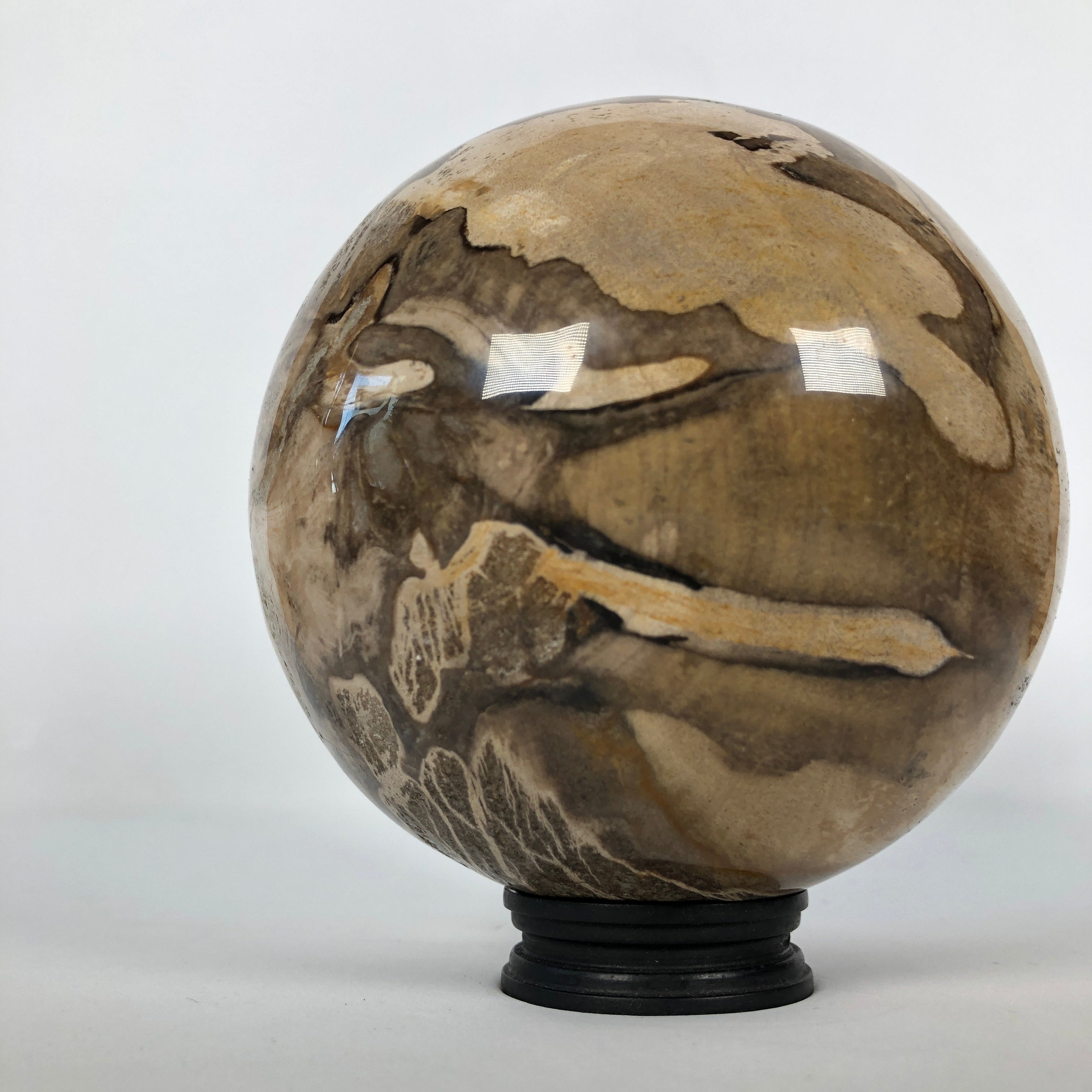 Wonderful Petrified Wood Sphere on a Custom Stand PS 515