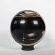 Wonderful Petrified Wood Sphere on a Custom Stand PS 520