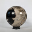 Wonderful Petrified Wood Sphere on a Custom Stand PS 520