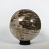 Wonderful Petrified Wood Sphere on a Custom Stand PS 520