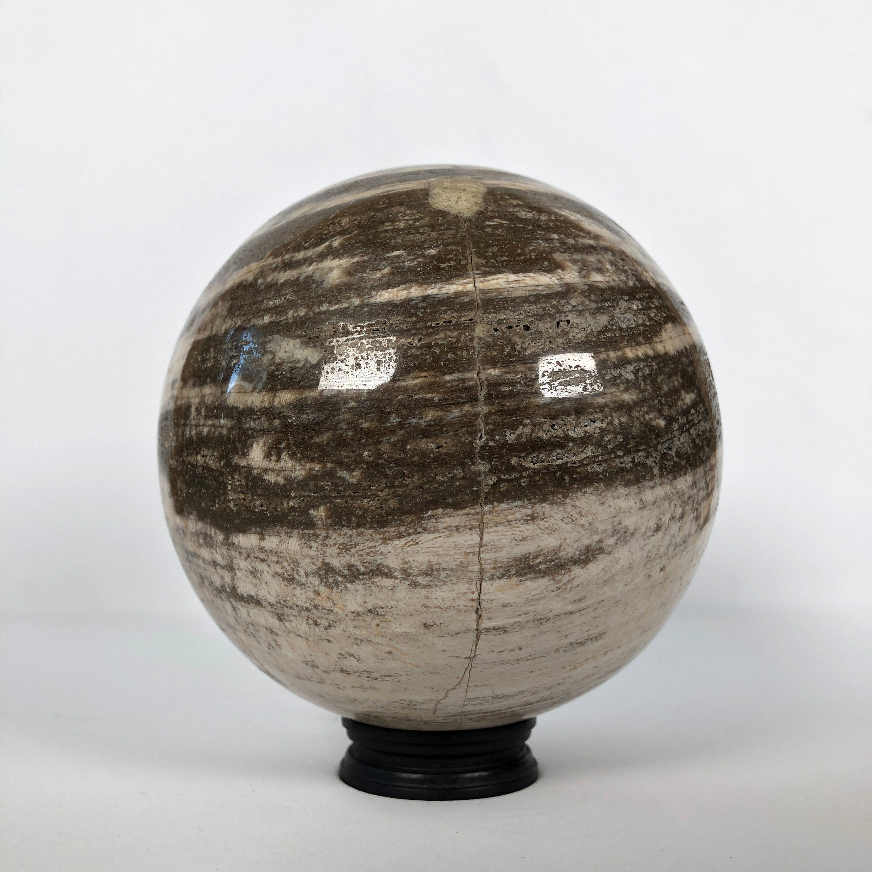 Wonderful Petrified Wood Sphere on a Custom Stand PS 520