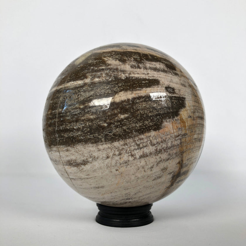Wonderful Petrified Wood Sphere on a Custom Stand PS 520