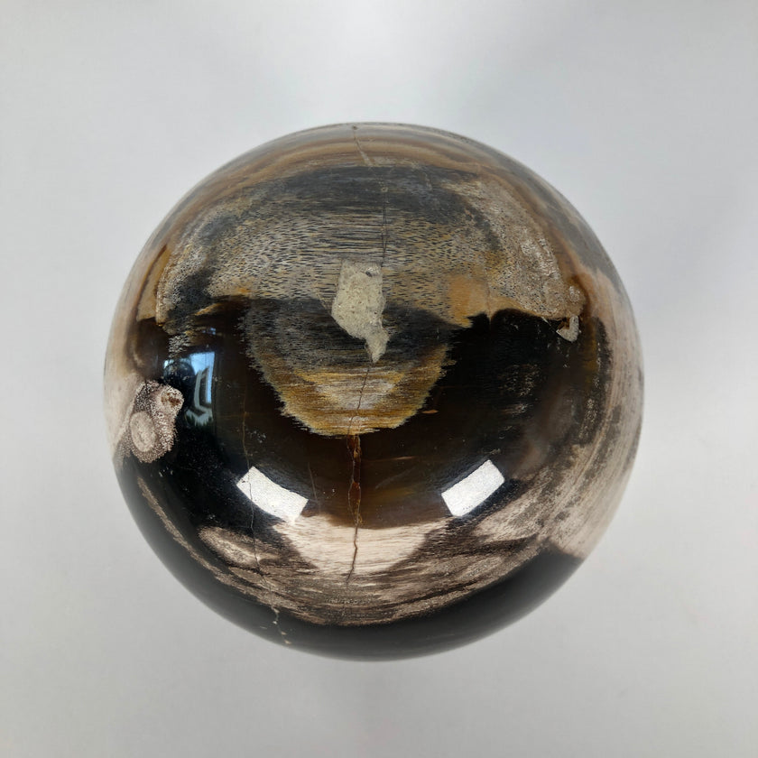 Wonderful Petrified Wood Sphere on a Custom Stand PS 520