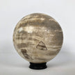 Wonderful Petrified Wood Sphere on a Custom Stand PS 513