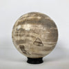 Wonderful Petrified Wood Sphere on a Custom Stand PS 513