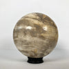 Wonderful Petrified Wood Sphere on a Custom Stand PS 513