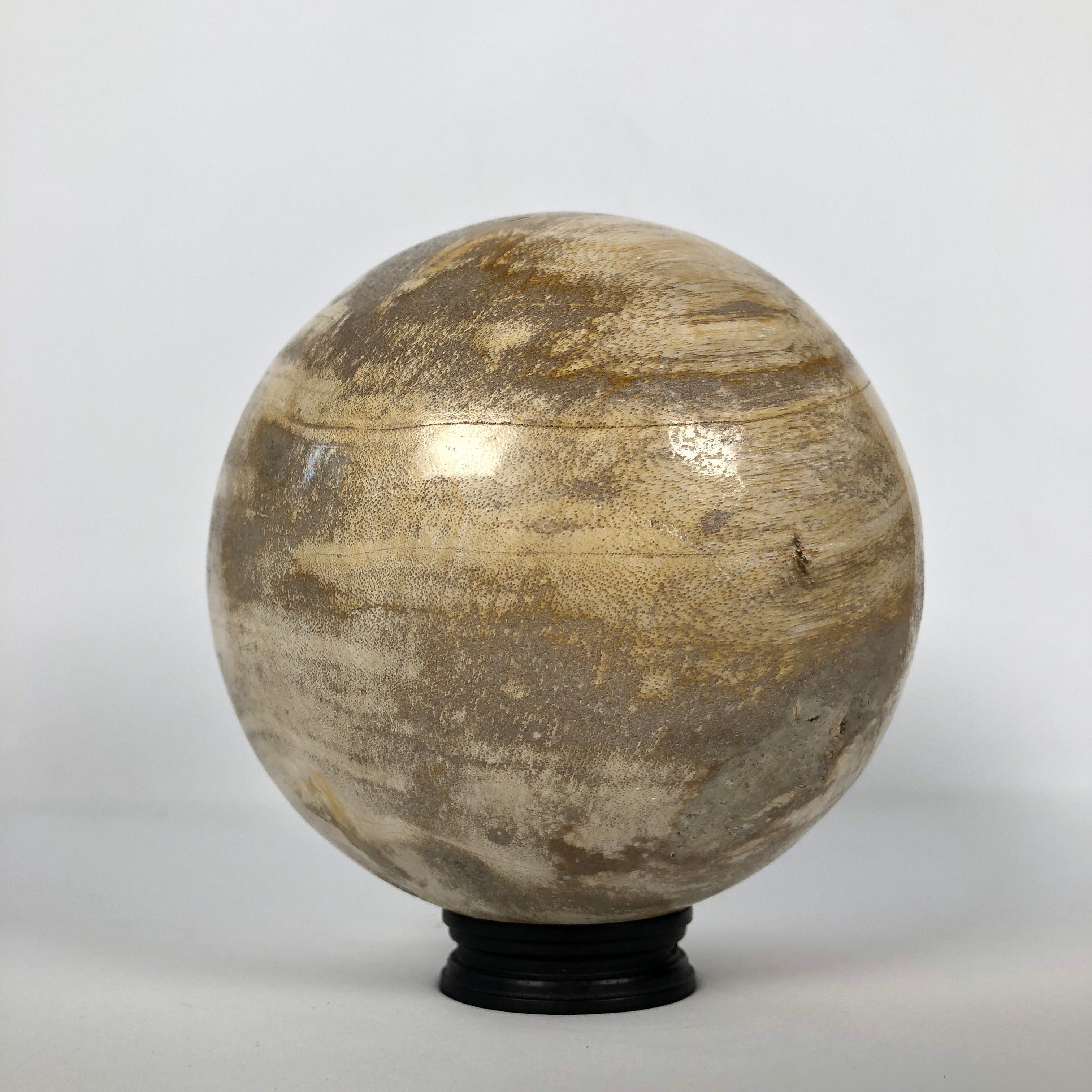 Wonderful Petrified Wood Sphere on a Custom Stand PS 513