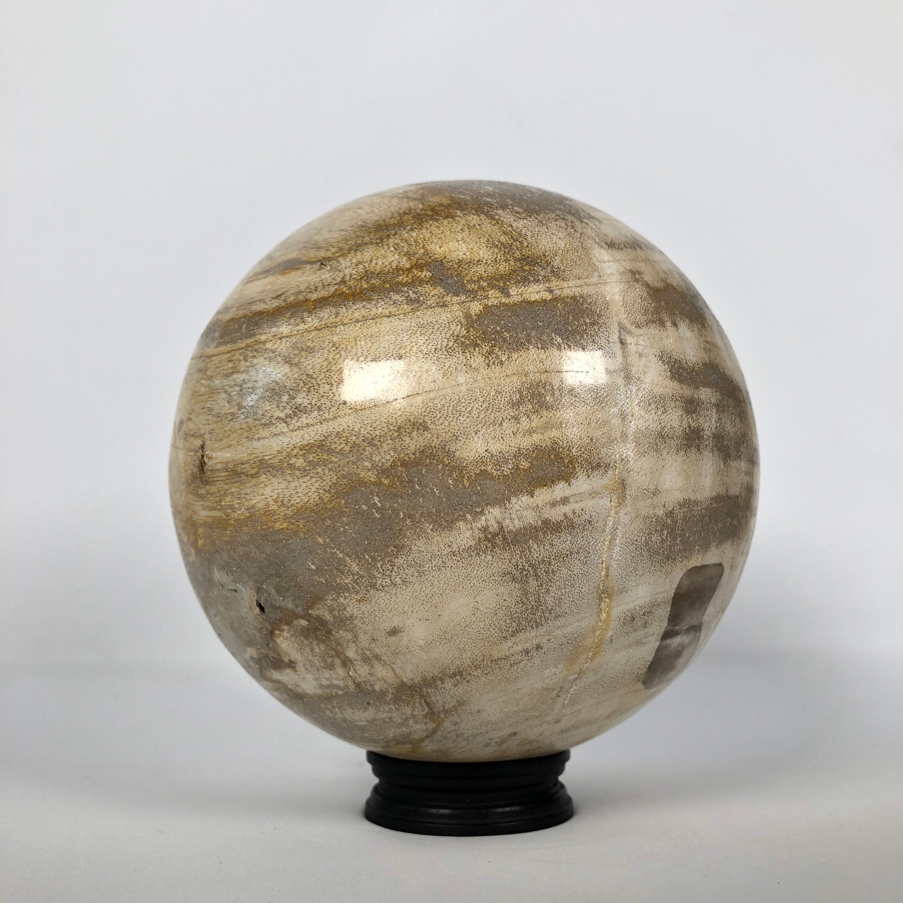 Wonderful Petrified Wood Sphere on a Custom Stand PS 513