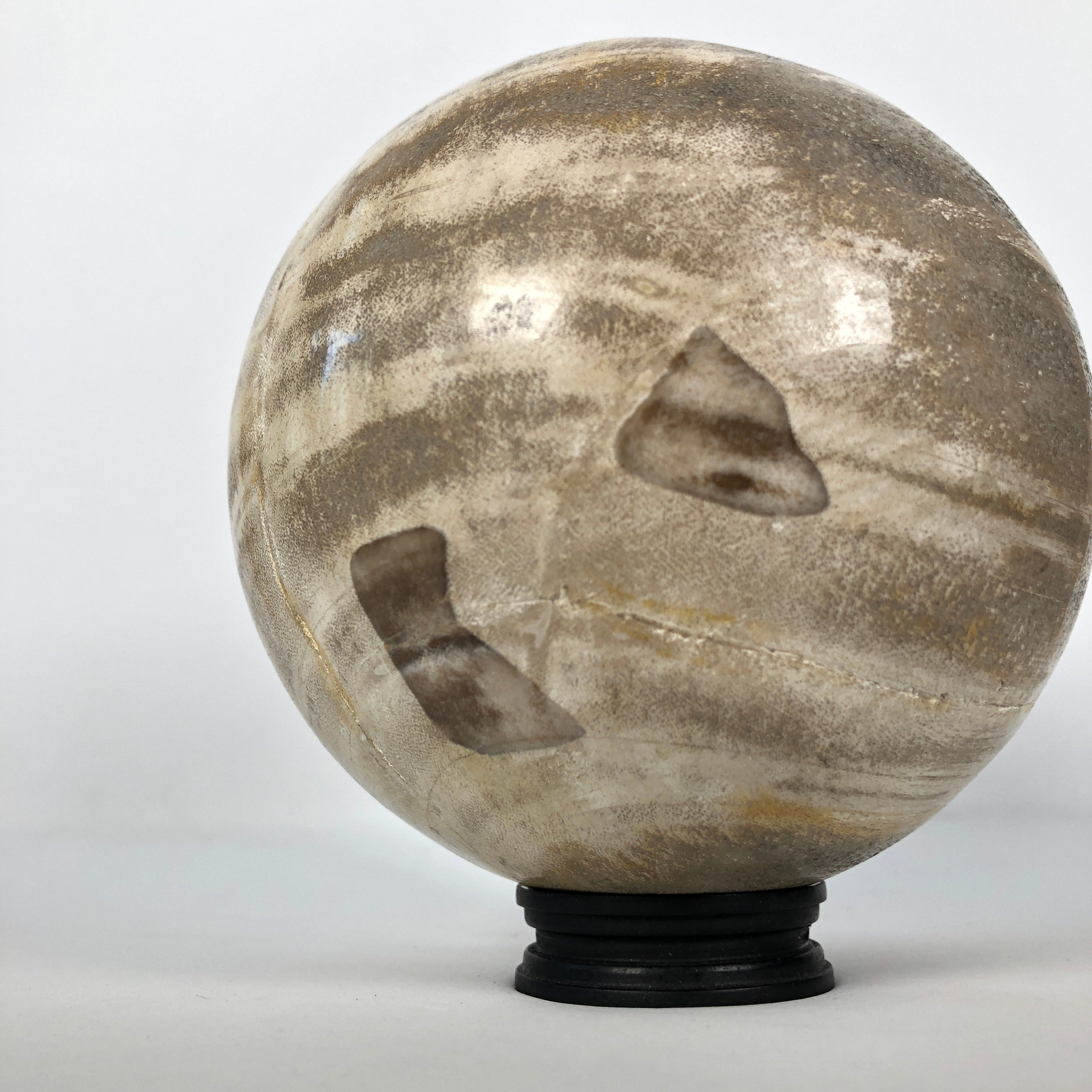 Wonderful Petrified Wood Sphere on a Custom Stand PS 513