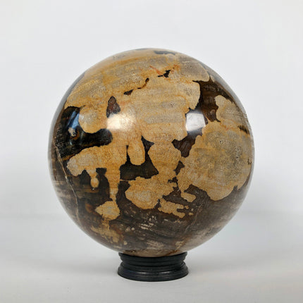 Wonderful Petrified Wood Sphere on a Custom Stand PS 544