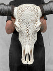 Caved Waterbuffalo Skulls with Big lotus Carving Skull,A/171