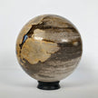 Wonderful Petrified Wood Sphere on a Custom Stand PS 544