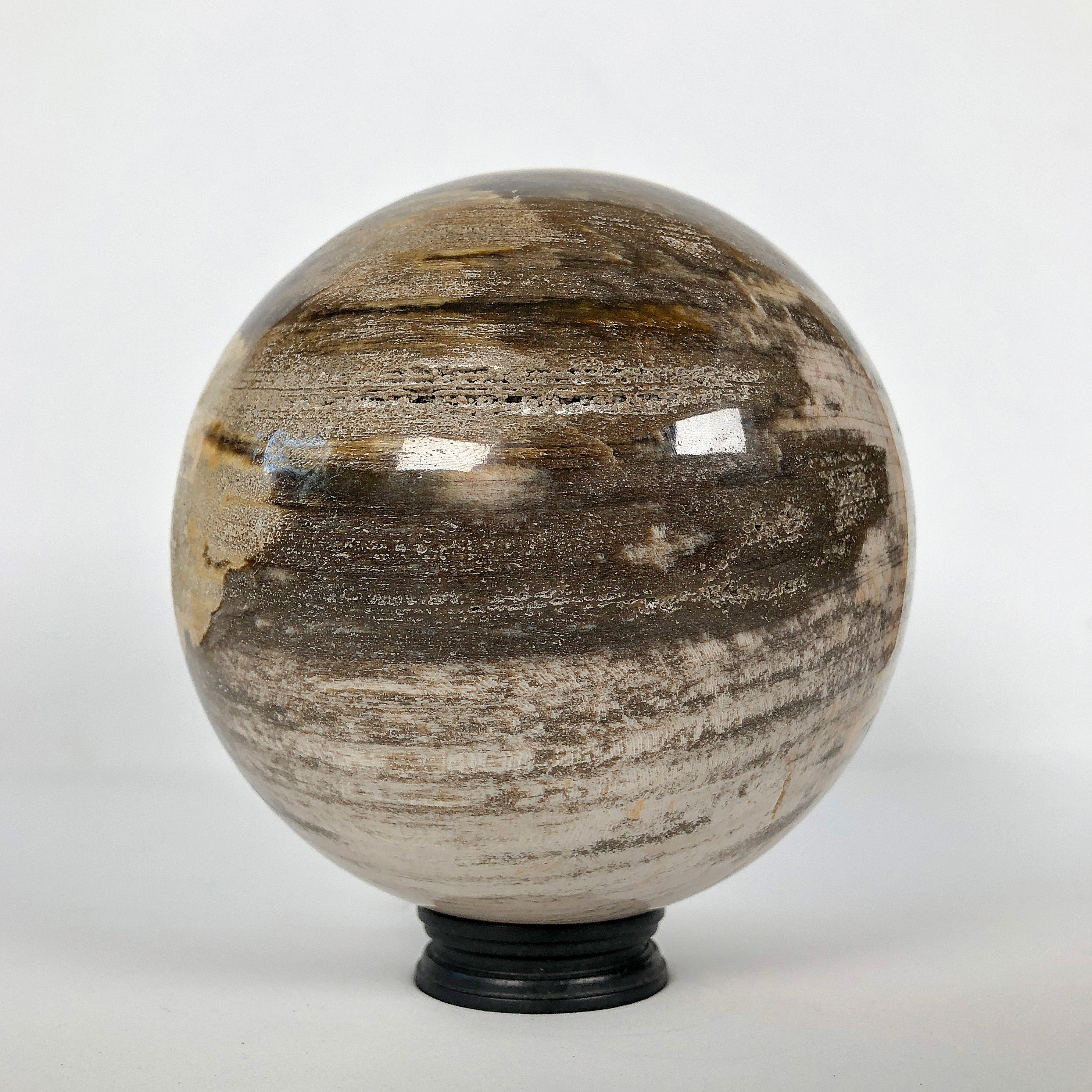 Wonderful Petrified Wood Sphere on a Custom Stand PS 544