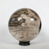 Wonderful Petrified Wood Sphere on a Custom Stand PS 544