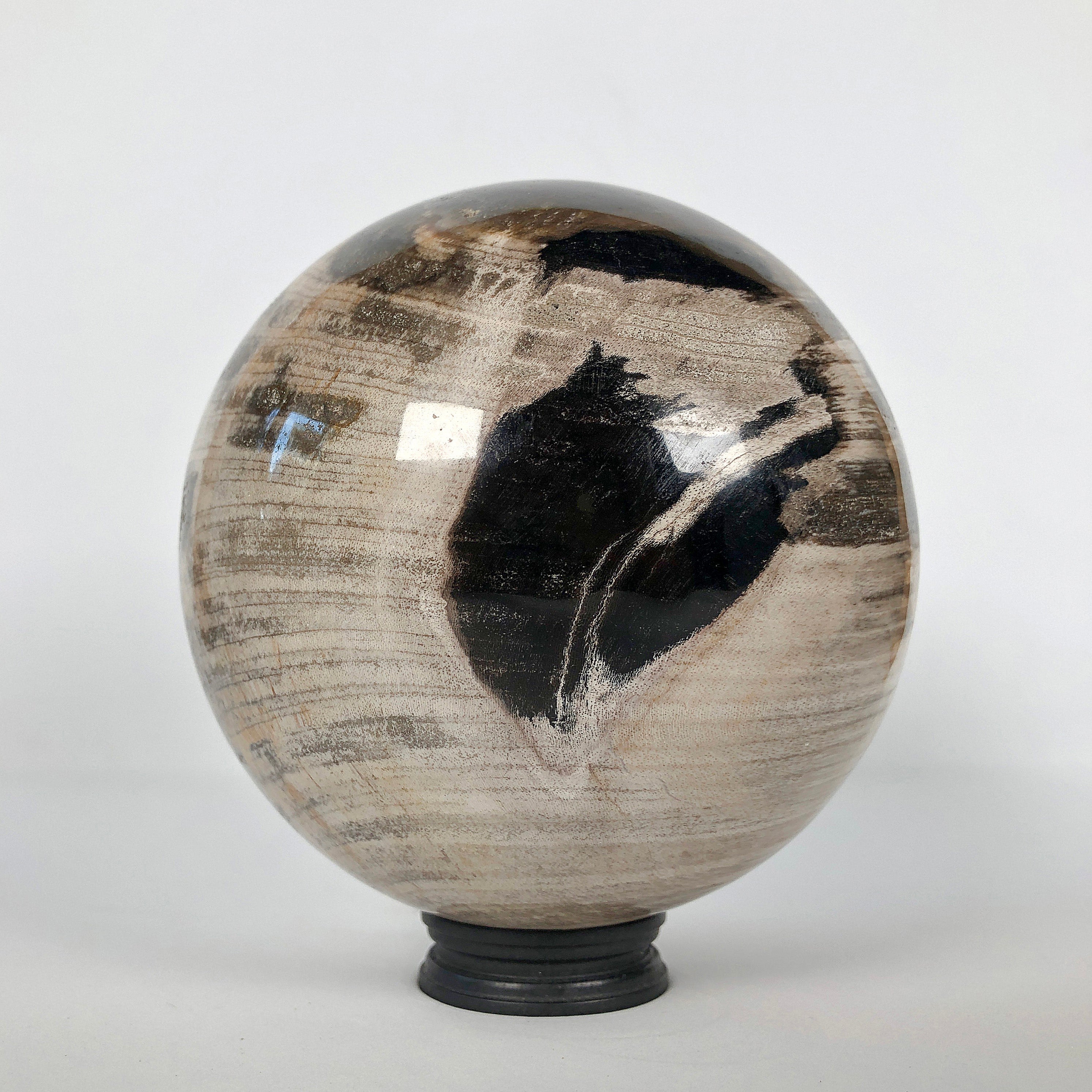 Wonderful Petrified Wood Sphere on a Custom Stand PS 544