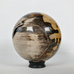 Wonderful Petrified Wood Sphere on a Custom Stand PS 544