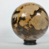 Wonderful Petrified Wood Sphere on a Custom Stand PS 544