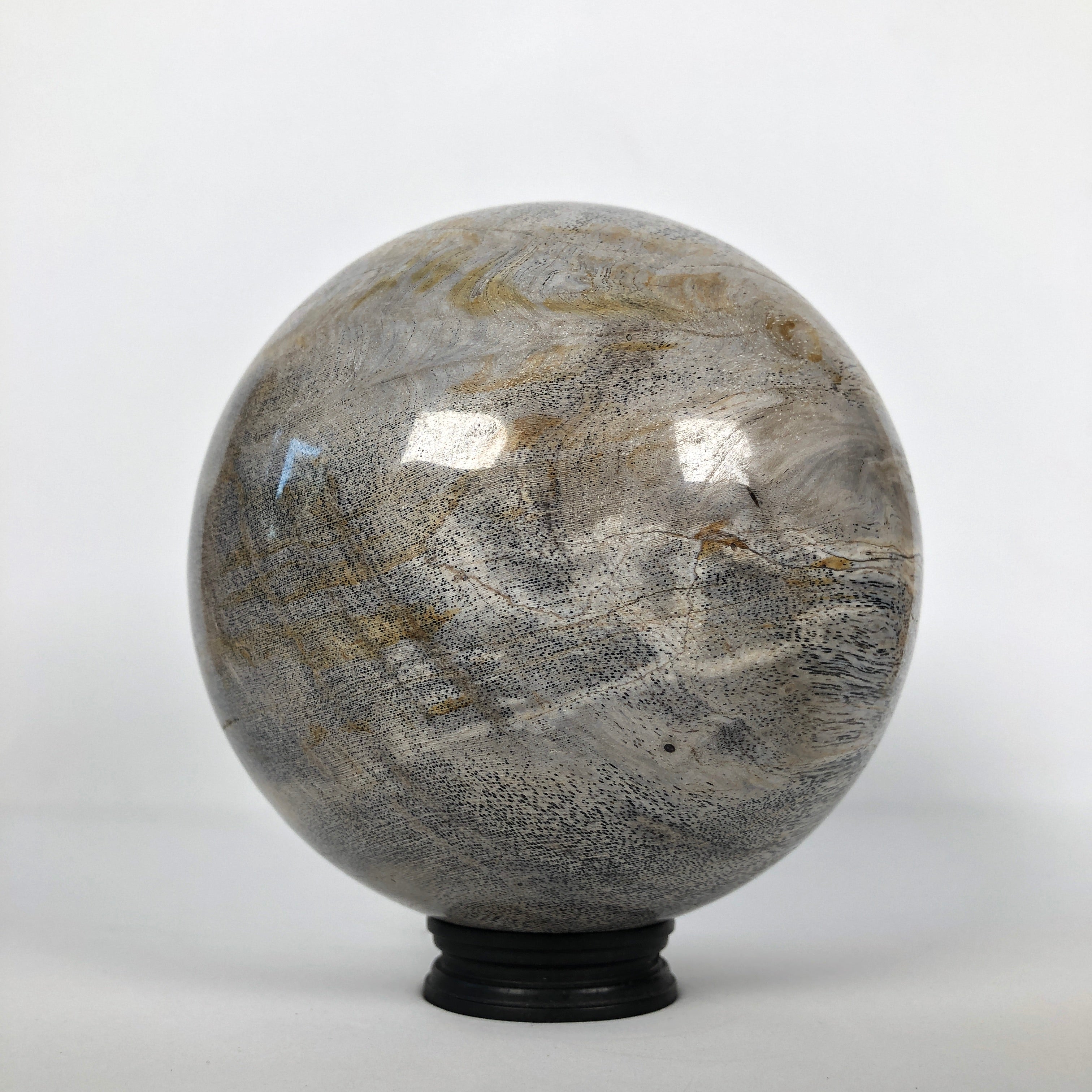 Wonderful Petrified Wood Sphere on a Custom Stand PS 522