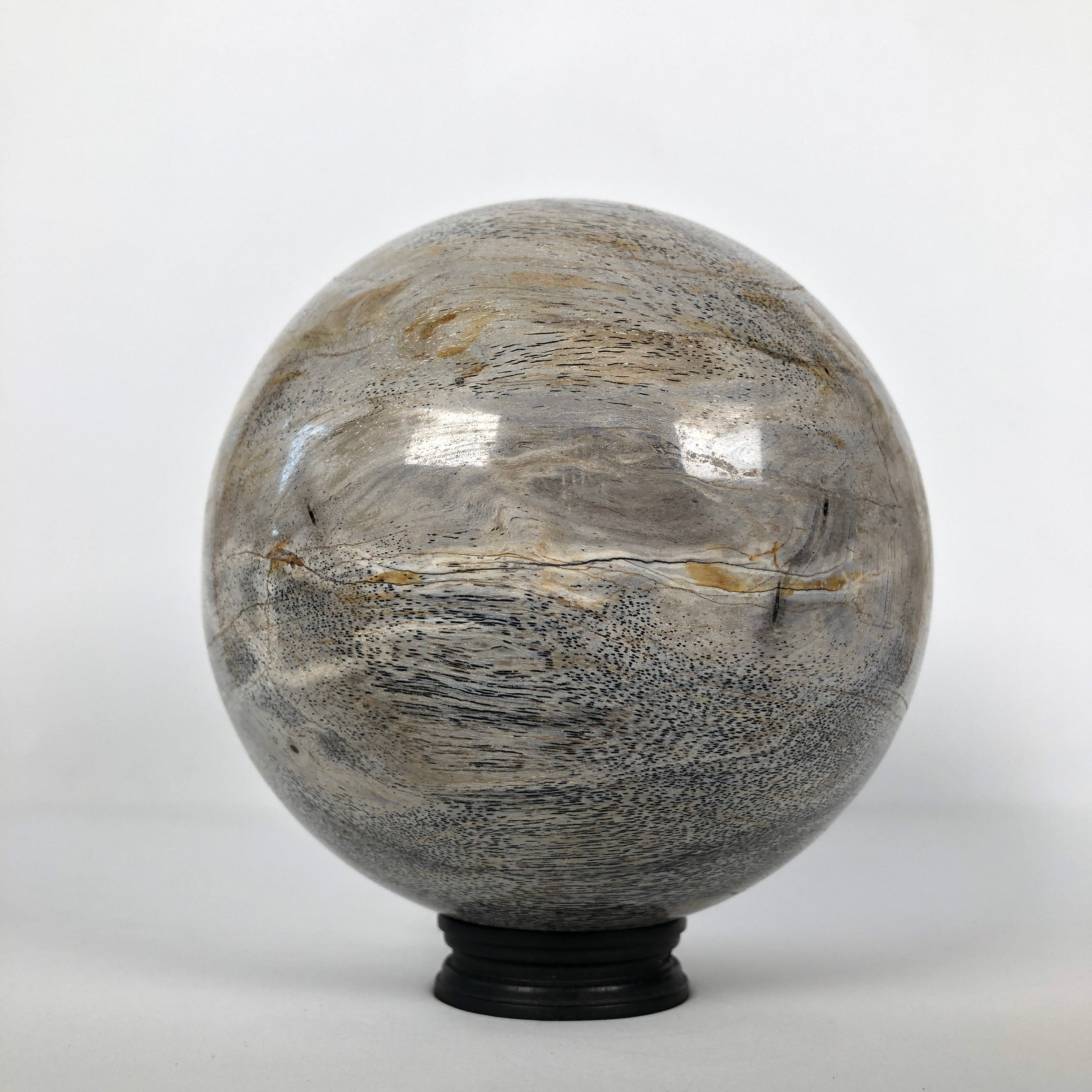 Wonderful Petrified Wood Sphere on a Custom Stand PS 522