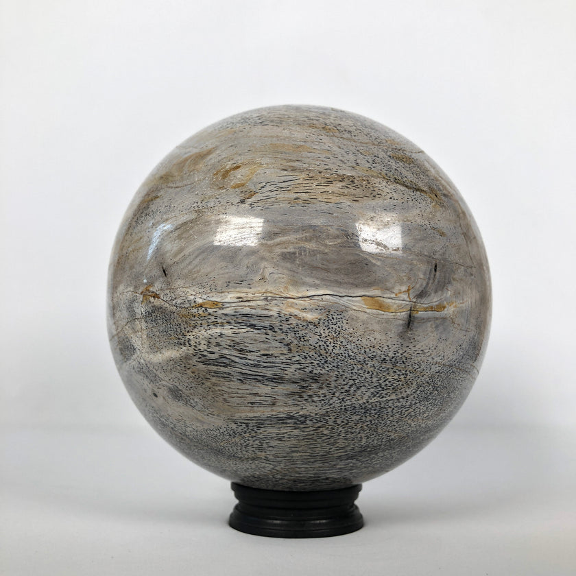 Wonderful Petrified Wood Sphere on a Custom Stand PS 522