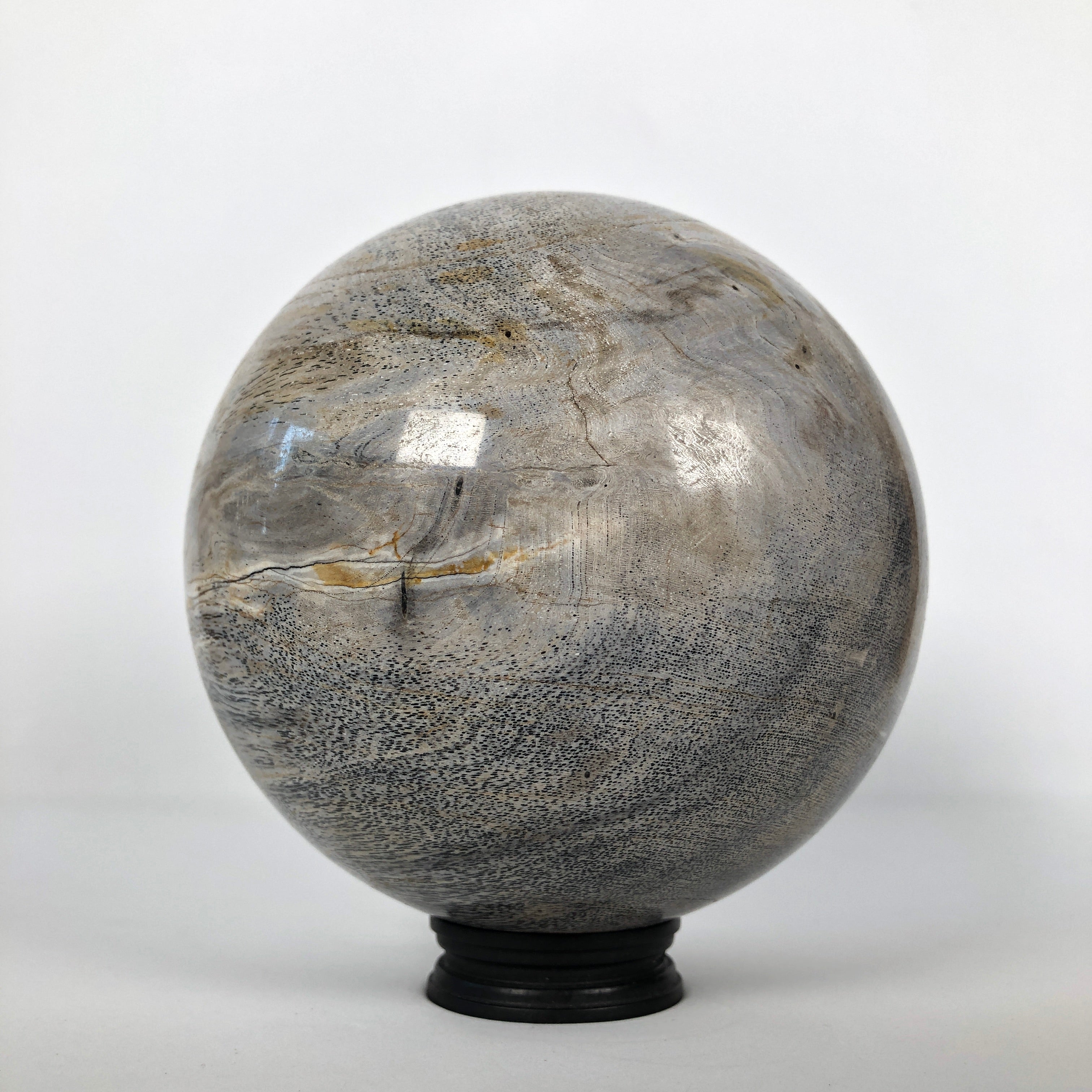 Wonderful Petrified Wood Sphere on a Custom Stand PS 522