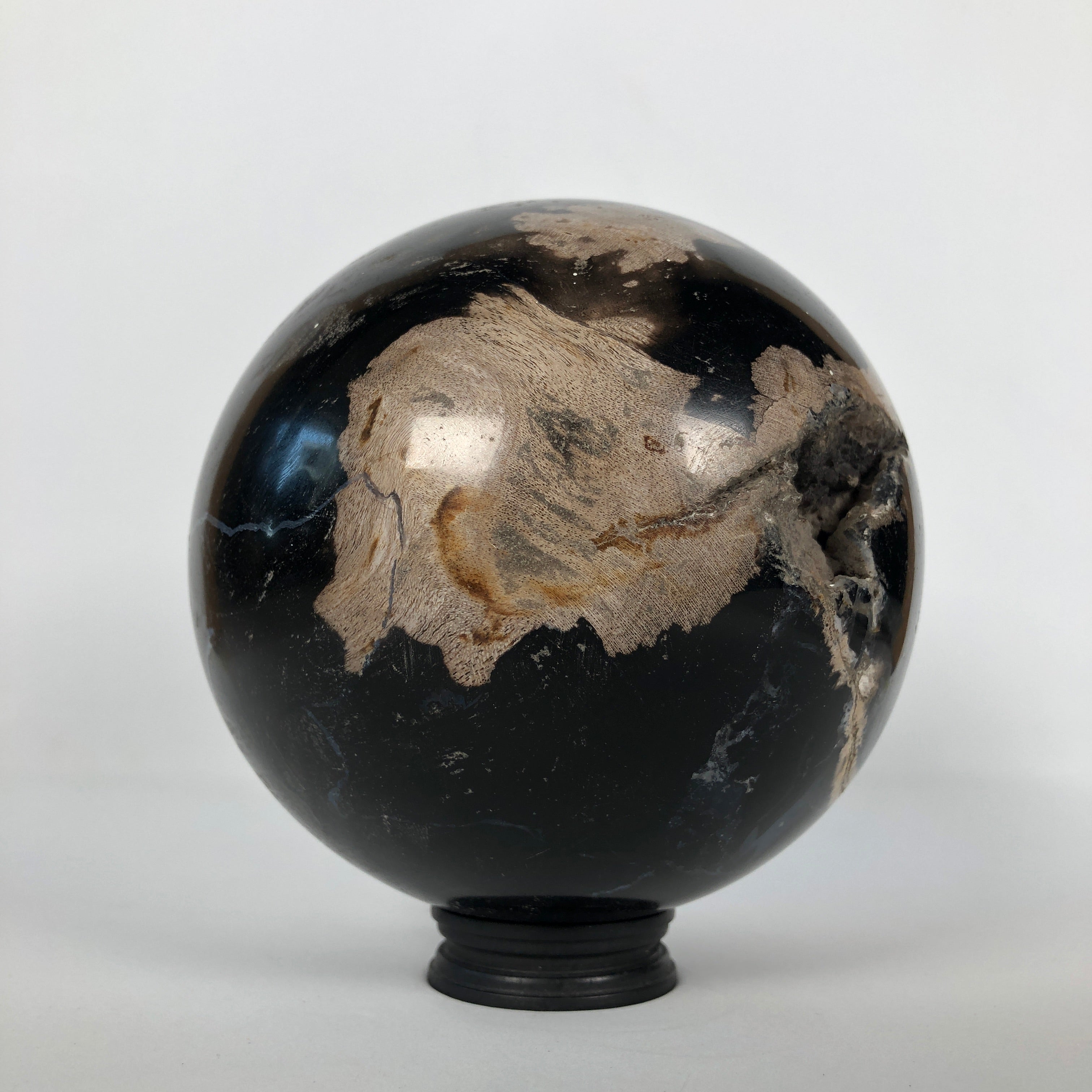 Wonderful Petrified Wood Sphere on a Custom Stand PS 511