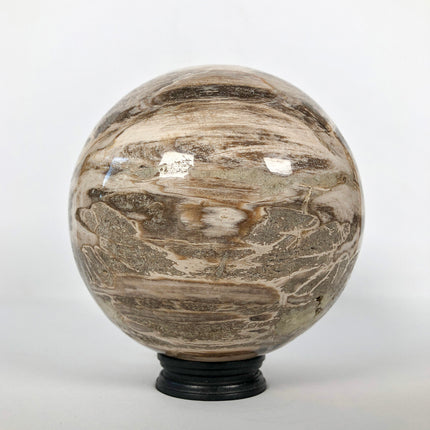 Wonderful Petrified Wood Sphere on a Custom Stand PS 518