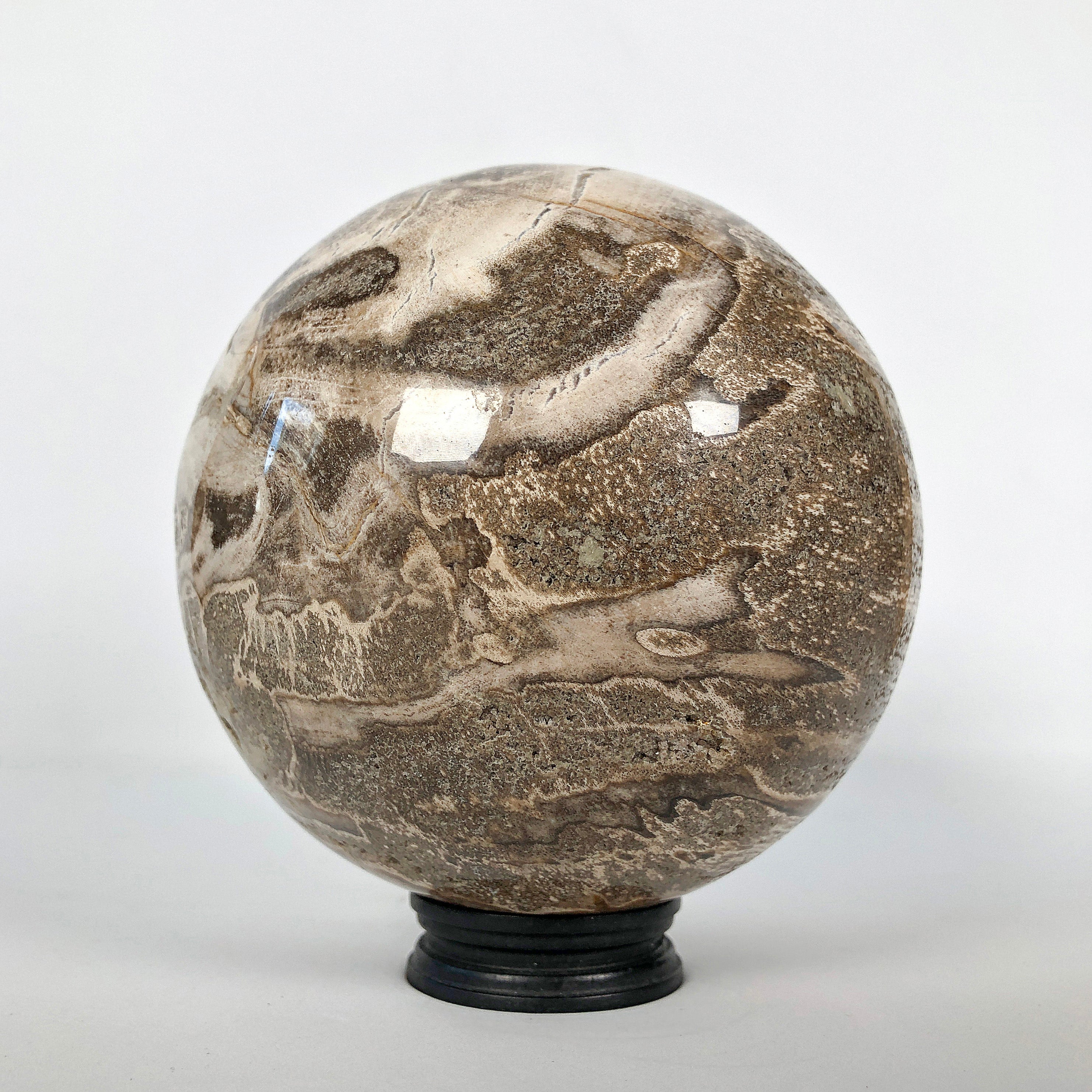 Wonderful Petrified Wood Sphere on a Custom Stand PS 518